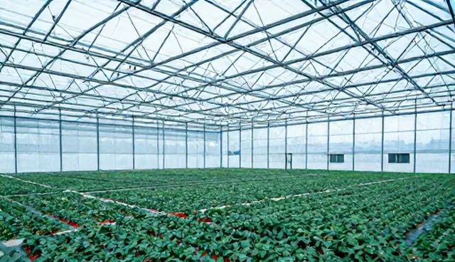 提示词入门：用检查要点提升文章结构